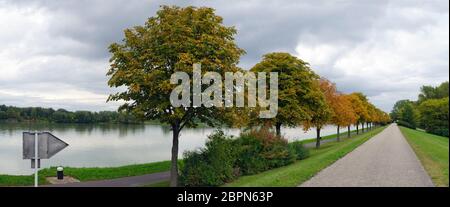 Gasse mit Rosskastanienbäumen an einer Schutzmauer der donau im Herbst, Tulln, Österreich Stockfoto