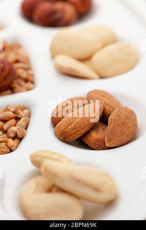 Verschiedene Nüsse, Mandeln und Getreide Körner auf weißen Maler - Paletten im flachen Winkel ansehen und engen Fokus. Stockfoto