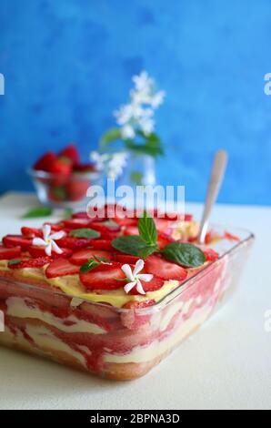 Tiramisu.Traditionelles italienisches Dessert mit Erdbeere und Mascarpone. Nahaufnahme. Speicherplatz kopieren. Stockfoto