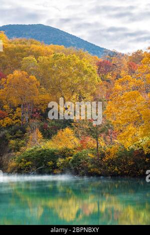 Herbst Wald onsen See an Jigoku Numa Hakkoda Tohoku Aomori, Japan Stockfoto