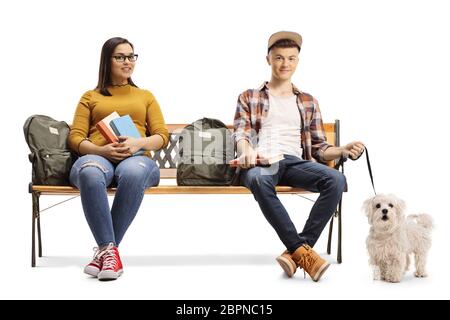 Studenten sitzen auf einer Bank mit einem maltesischen Pudel Hund isoliert auf weißem Hintergrund Stockfoto