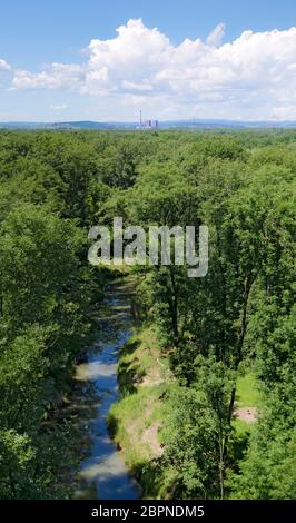 Arialblick über den Auwald am Fluss 'Danube' mit Wasserlauf und dem nicht aktivierten Kernkraftwerk Zwentendorf am Horizont, T Stockfoto