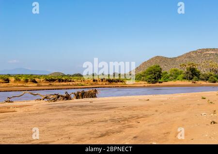 Ansicht des Ewaso Ng'iro Fluss in der Savanne von Samburu Park im Zentrum von Kenia Stockfoto