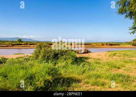 Ansicht des Ewaso Ng'iro Fluss in der Savanne von Samburu Park im Zentrum von Kenia Stockfoto