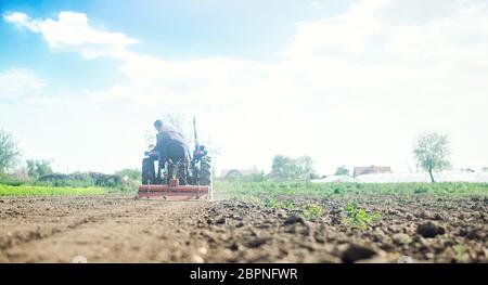 Landwirt auf einem Traktor mit Fräsmaschine löst, mahlt und mischt Erde. Landwirtschaft und Landwirtschaft. Lockern der Oberfläche, Anbau der Fläche für Furt Stockfoto