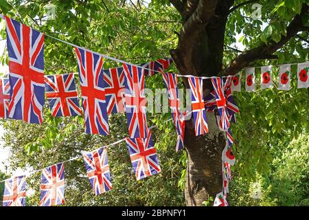 Union-Flagge und Mohnfahne hängen im Schatten eines Baumes auf einem Dorfgrün in Großbritannien Stockfoto