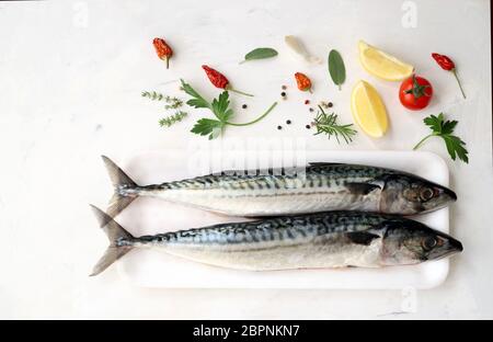 Frischer Makrelenfisch auf weißem Hintergrund und frische Kräuter und Gewürzen. Gesundes Essen Konzept, mediterrane Ernährung. Kopierbereich. Draufsicht. Stockfoto