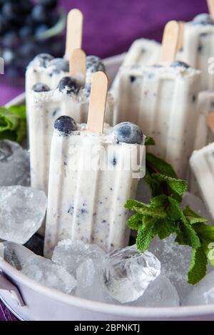 Hausgemachtes Eis Eis am Stiel mit Heidelbeeren und frische Minze Stockfoto