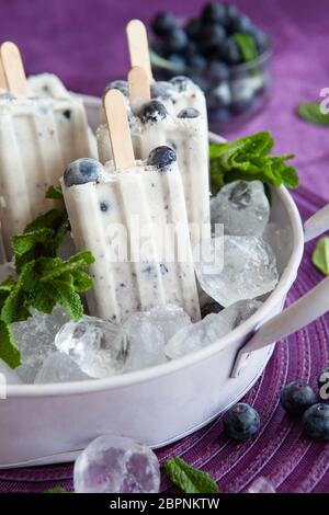 Hausgemachtes Eis Eis am Stiel mit Heidelbeeren und frische Minze Stockfoto