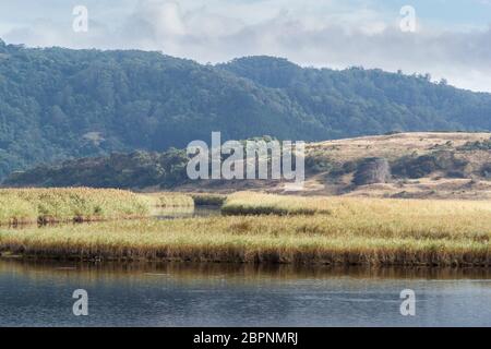 Aire Fluss in Cape Otway National Park, Victoria, Australien Stockfoto