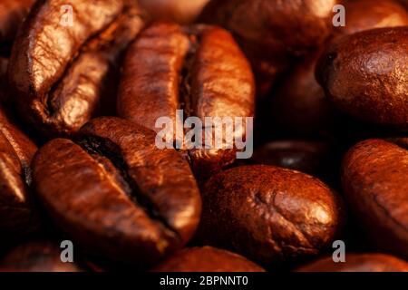 Hintergrund aus gerösteten duftenden Kaffeebohnen. Makrofotografie Stockfoto