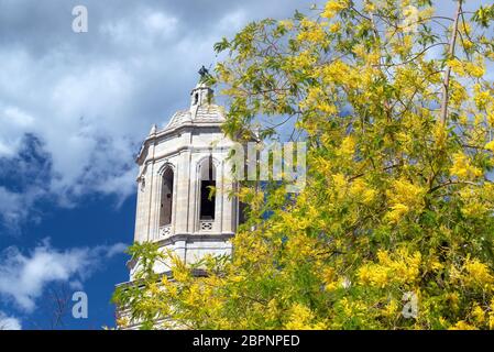 Turm der Kathedrale von Girona neben einem gelben und grünen Baum in Girona, Spanien Stockfoto