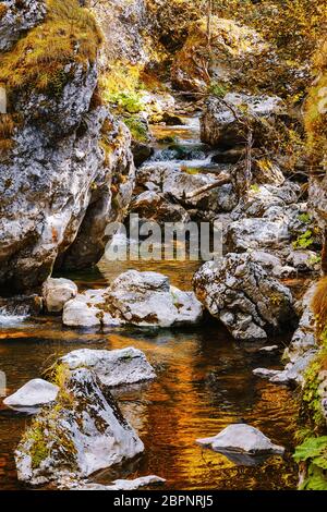 Gebirgsfluss in der Trigrad-Schlucht, Rhodopen-Gebirge in Südbulgarien, Südosteuropa Stockfoto