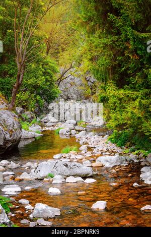 Gebirgsfluss in der Trigrad-Schlucht, Rhodopen-Gebirge in Südbulgarien, Südosteuropa Stockfoto