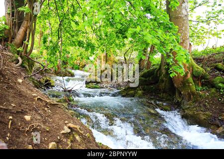 Uracher Wasserfall Bad Urach ist eine Stadt in Deutschland, mit vielen wunderbaren Landschaften Stockfoto