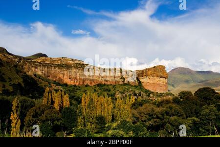 Landschaft im Freistaat mit Pappeln und Landwirtschaft im Winter Stockfoto