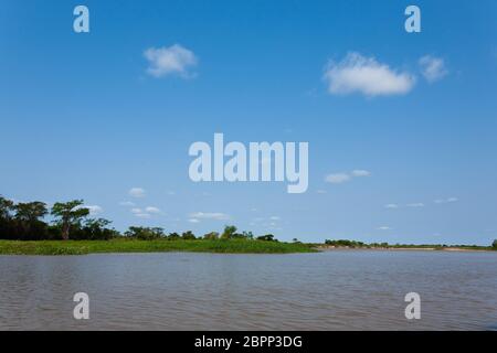 Panorama vom Pantanal, brasilianische Feuchtgebiet Region. Schiffbaren Lagune. Südamerika-Wahrzeichen Stockfoto