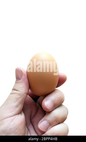Hand hält ein Ei isoliert auf weißem Hintergrund. Mit Beschneidungspfad. Stockfoto