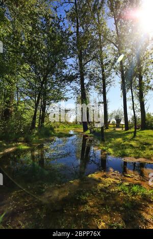 Aischquelle in Burgbernheim ist eine Stadt in Bayern mit vielen historischen Sehenswürdigkeiten Stockfoto