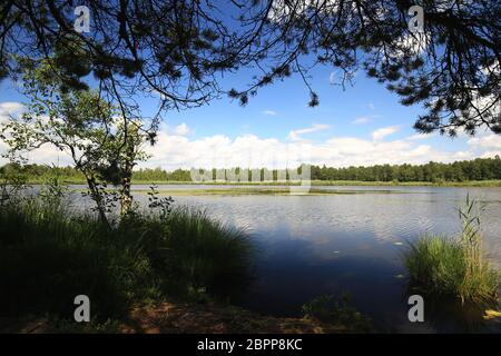 Riedsee in Bad Würzach ist eine Stadt in Bayern mit vielen wunderschönen Landschaften Stockfoto