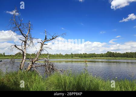 Riedsee in Bad Würzach ist eine Stadt in Bayern mit vielen wunderschönen Landschaften Stockfoto