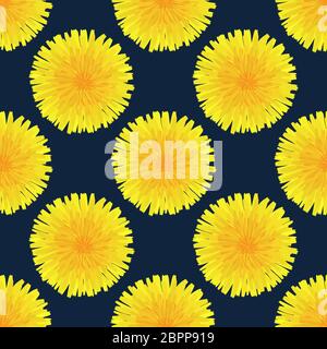 Florales Nahtloses Muster. Handgezeichneter gelber Kopf des Löwenzahns officinale. Wildblume. Taraxacum Design für Tapeten, Textilien, Verpackungen, Karten, Drucke Stockfoto