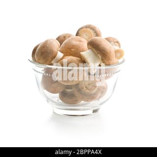 Frische champignon Pilze in Schüssel auf weißem Hintergrund. Stockfoto