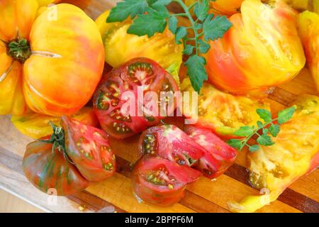 Saftigen Tomaten in verschiedenen Farben mit Tomaten Blätter Stockfoto