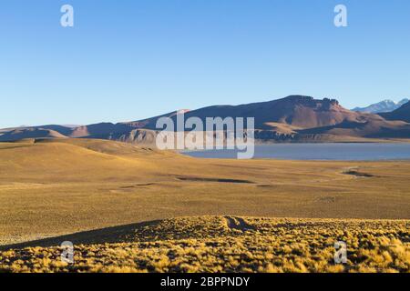 Morejon bolivianischen Landschaft, Blick auf die Lagune, Bolivien. Anden Plateau Stockfoto