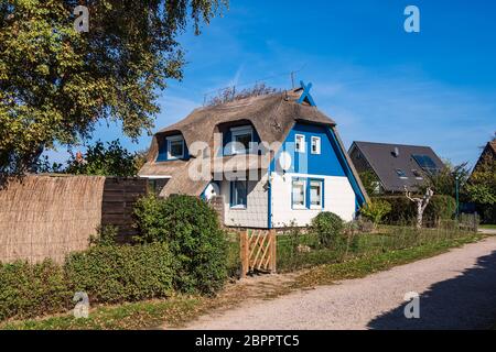 Reetgedeckte Häuser mit blauen Himmel in Ahrenshoop, Deutschland. Stockfoto