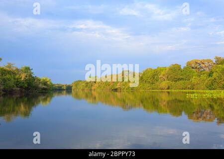 Panorama vom Pantanal, brasilianische Feuchtgebiet Region. Schiffbaren Lagune. Südamerika-Wahrzeichen Stockfoto