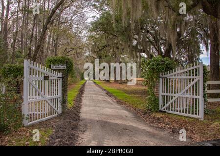 Die berühmte Tomatley Plantation in Yemassee, South Carolina ist ein atemberaubendes Anwesen mit unglaublichen Möglichkeiten für Erholung und Sport. Stockfoto