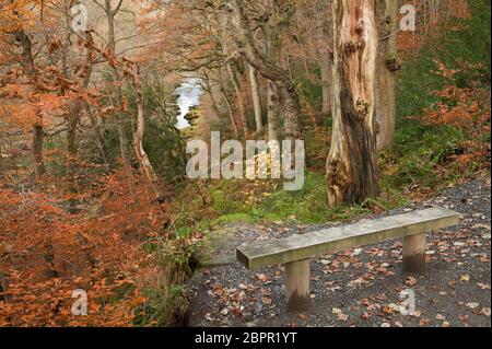 Ein Blick auf die Strid im River Wharfe durch Strid Woods von Boyle Seat, in den Yorkshire Dales, Großbritannien Stockfoto