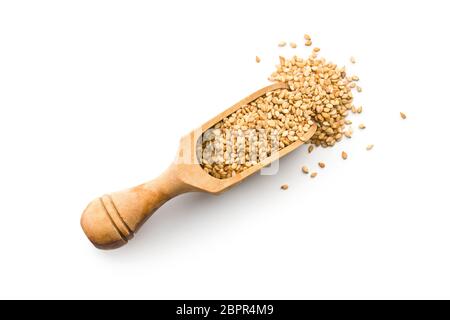 Geröstete Sesamsamen in Schaufel auf weißem Hintergrund. Stockfoto