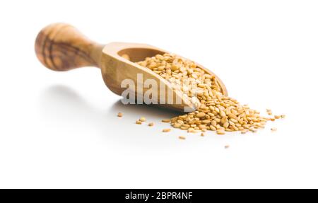 Geröstete Sesamsamen in Schaufel auf weißem Hintergrund. Stockfoto