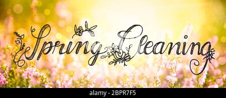 Englisch Kalligraphie Frühjahrsputz. Erica Blume Feld oder Wiese. Sonnige Frühling oder Sommer. Stockfoto