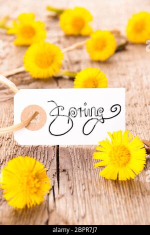 White Label mit englischen Kalligraphie Feder. Löwenzahn blühen auf Holz- rustikalen Hintergrund Stockfoto
