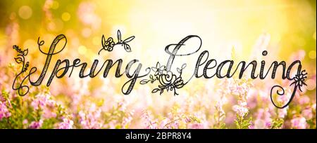 Englisch Kalligraphie Frühjahrsputz. Erica Blume Feld oder Wiese. Sonnige Frühling oder Sommer. Stockfoto
