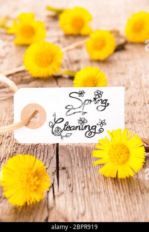Weißes Etikett Mit Englischer Kalligraphie Spring Cleaning. Löwenzahn-Blüte Auf Rustikalem Holzhintergrund Stockfoto
