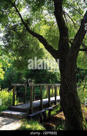 Holzsteg an der Ach Memminger ist eine Stadt in Bayern/Deutschland mit vielen historischen Sehenswürdigkeiten Stockfoto