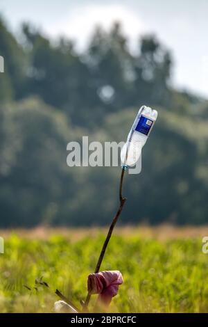 Kunststoff Flasche auf dem Feld. Flasche Glas- oder Kunststoffbehälter mit einem schmalen Hals, für das Lagern von Getränken oder anderen Flüssigkeiten eingesetzt. Stockfoto