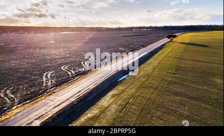 Frühlingsgrüne und schwarze landwirtschaftliche Felder. Asphaltierte Landstraße. Schmelzender Schnee im märz. Einseitiger Baum auf der Straßenseite. Winterkulturen und gepflügten Feld. Feder Stockfoto