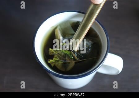 ea mit grünen und gedierten Stevia Blättern in weißem Glas Stockfoto