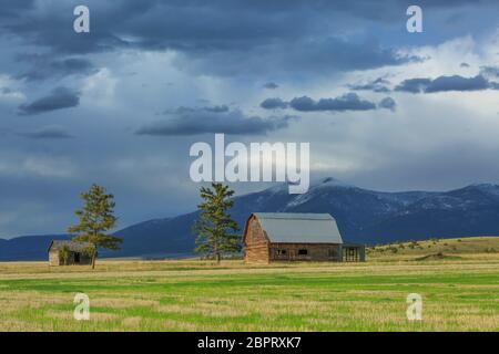 Alte Scheune und Hütte unter Mount Baldy in der Nähe von townsend, montana Stockfoto