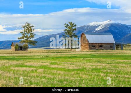 Alte Scheune und Hütte unter Mount Baldy in der Nähe von townsend, montana Stockfoto