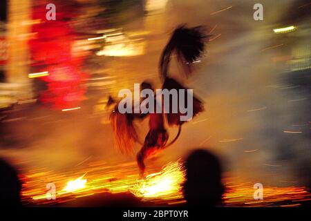 Ein Feuertanz-Darsteller läuft während der Kecak- und Feuertanz-Show in Ubud, Gianyar, Bali, Indonesien über einen Haufen brennender Kokosnüsse. Stockfoto