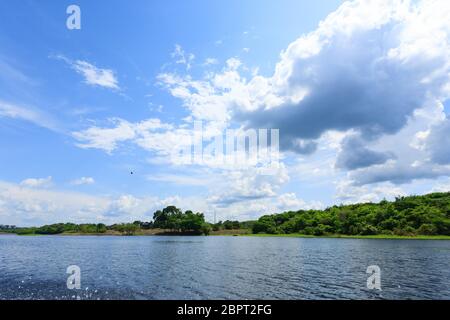 Panorama vom Amazonas-Regenwald, brasilianische Feuchtgebiet Region. Schiffbaren Lagune. Südamerika-Wahrzeichen. Amazonien Stockfoto