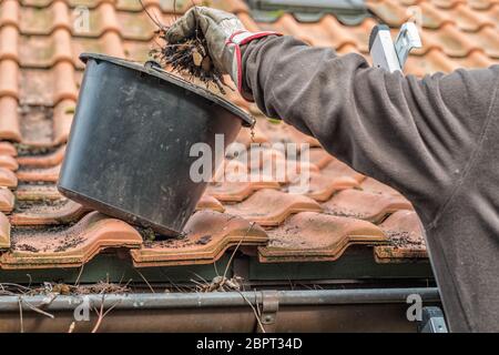 Mann auf einer Leiter Reinigung Haus Dachrinnen Stockfoto