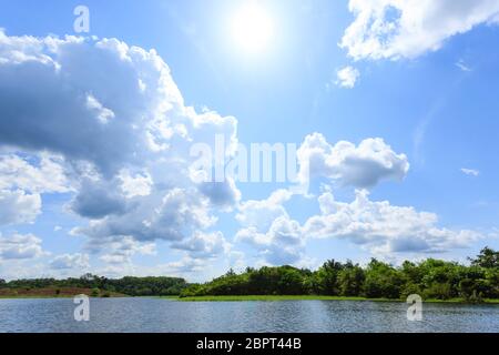 Panorama vom Amazonas-Regenwald, brasilianische Feuchtgebiet Region. Schiffbaren Lagune. Südamerika-Wahrzeichen. Amazonien Stockfoto