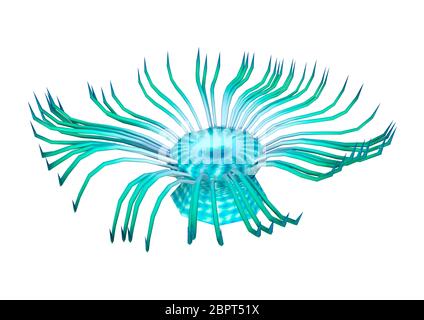 3D-Rendering eines grünen Seeanemone auf weißem Hintergrund Stockfoto